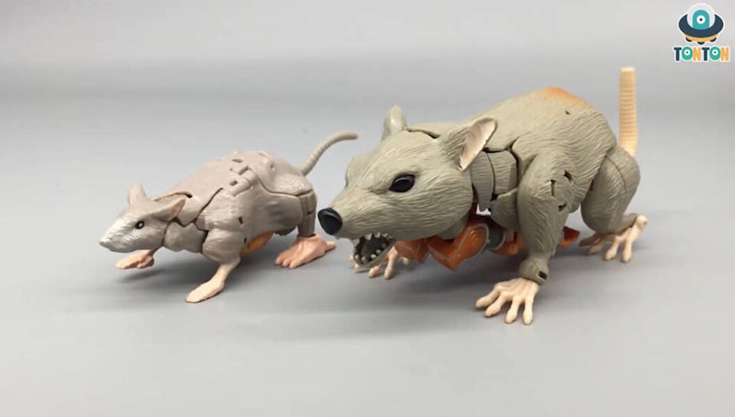 Transformers Kingdom Rattrap  (9 of 13)